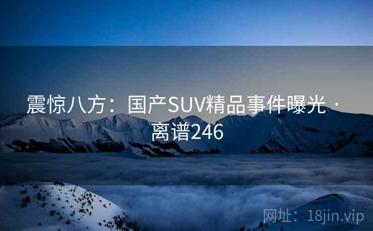 震惊八方:国产SUV精品事件曝光 · 离谱246 震惊八方:国产SUV精品事件曝光 · 离谱246