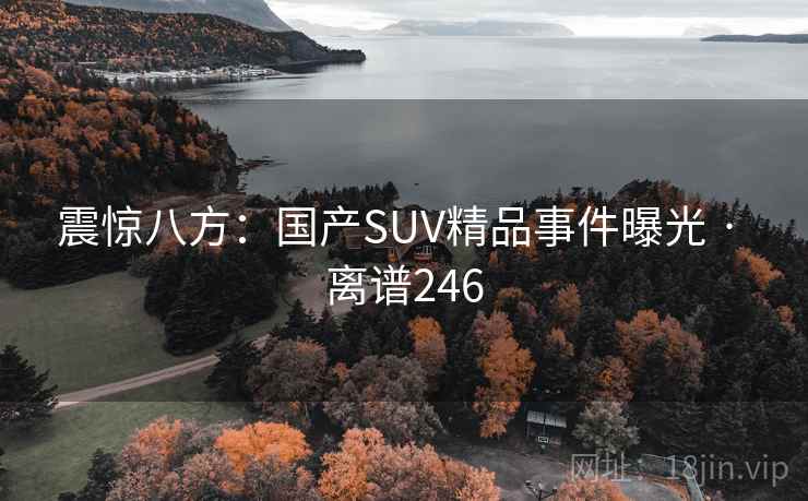 震惊八方:国产SUV精品事件曝光 · 离谱246