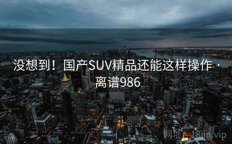 没想到!国产SUV精品还能这样操作 · 离谱986 没想到!国产SUV精品还能这样操作 · 离谱986
