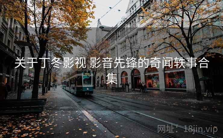 关于丁冬影视 影音先锋的奇闻轶事合集 关于丁冬影视 影音先锋的奇闻轶事合集