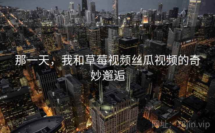 那一天，我和草莓视频丝瓜视频的奇妙邂逅