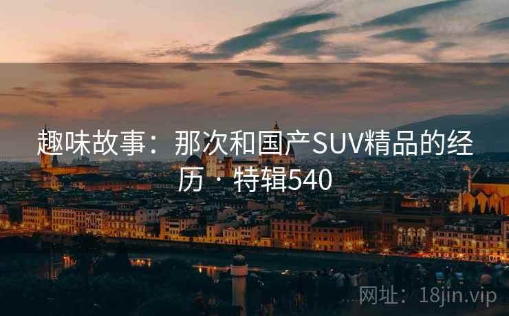 趣味故事：那次和国产SUV精品的经历 · 特辑540